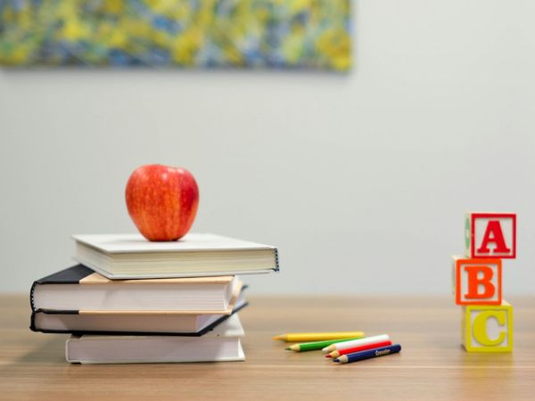 Plekhouer: boeke en blokkies